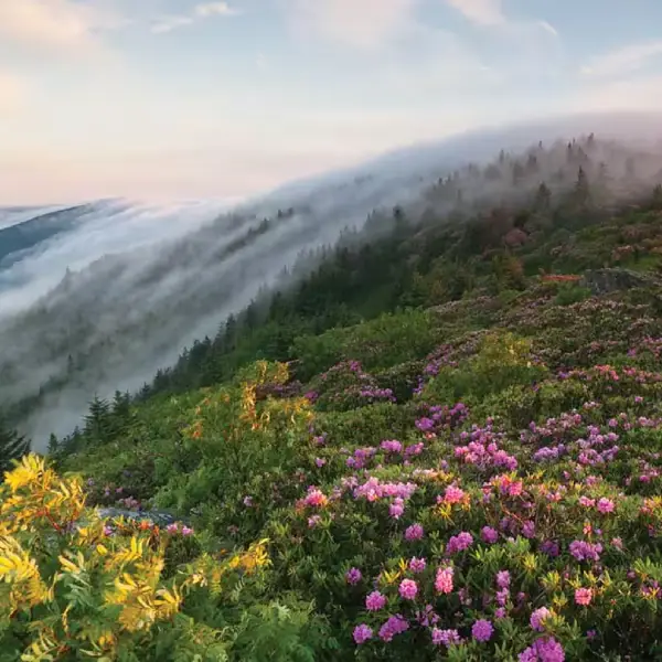 Gatlinburg & the Great Smokies